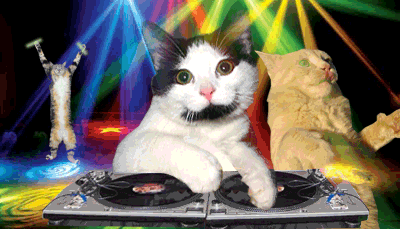 image.gif